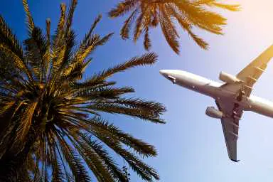 sf flight seo banner business 384x256 sf flight seo banner business 384x256